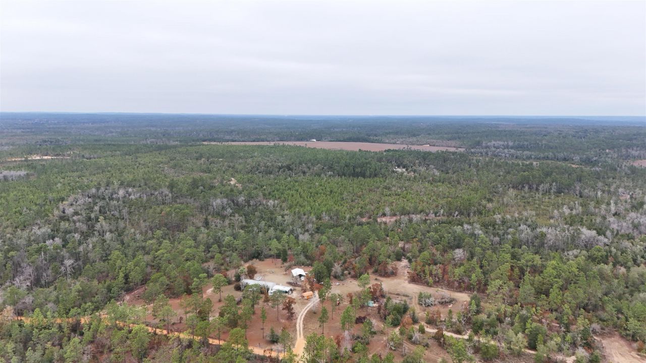 Vacant Joshua Road, Marianna, FL 32448 Photo