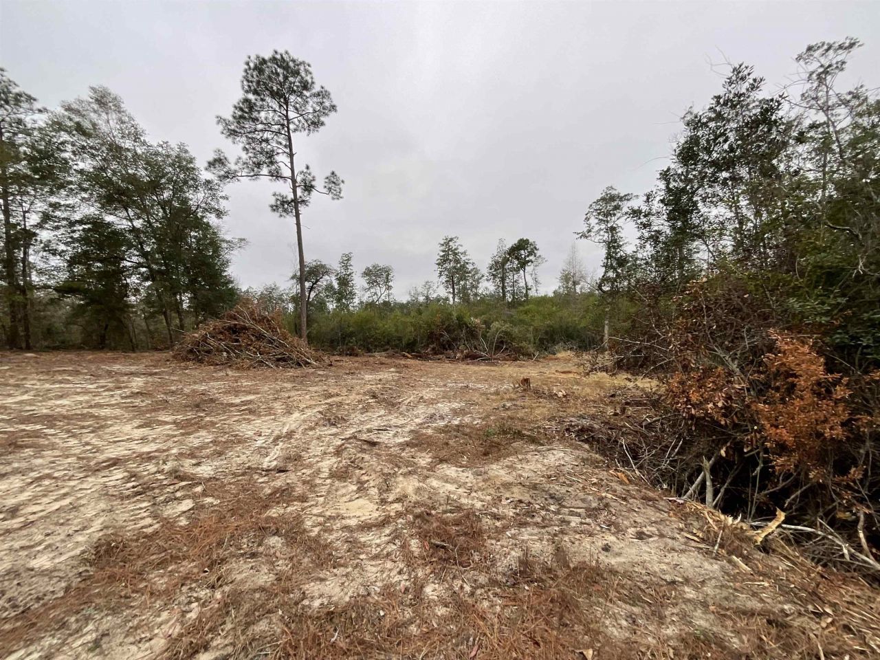 Vacant Joshua Road, Marianna, FL 32448 Photo