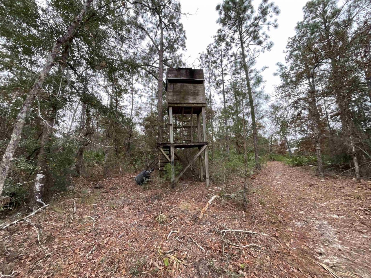 Vacant Joshua Road, Marianna, FL 32448 Photo