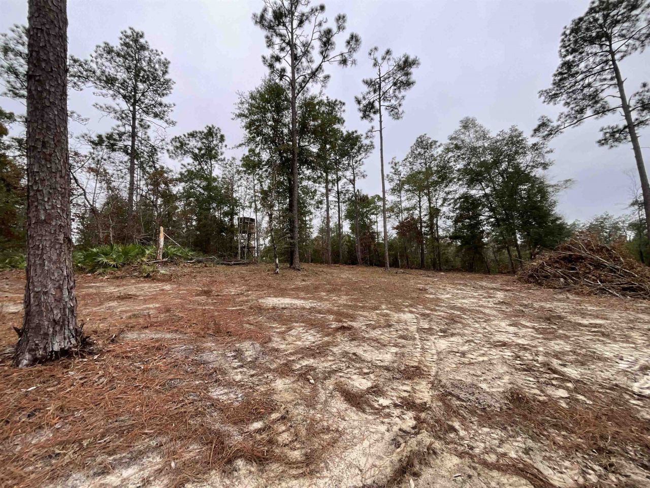 Vacant Joshua Road, Marianna, FL 32448 Photo