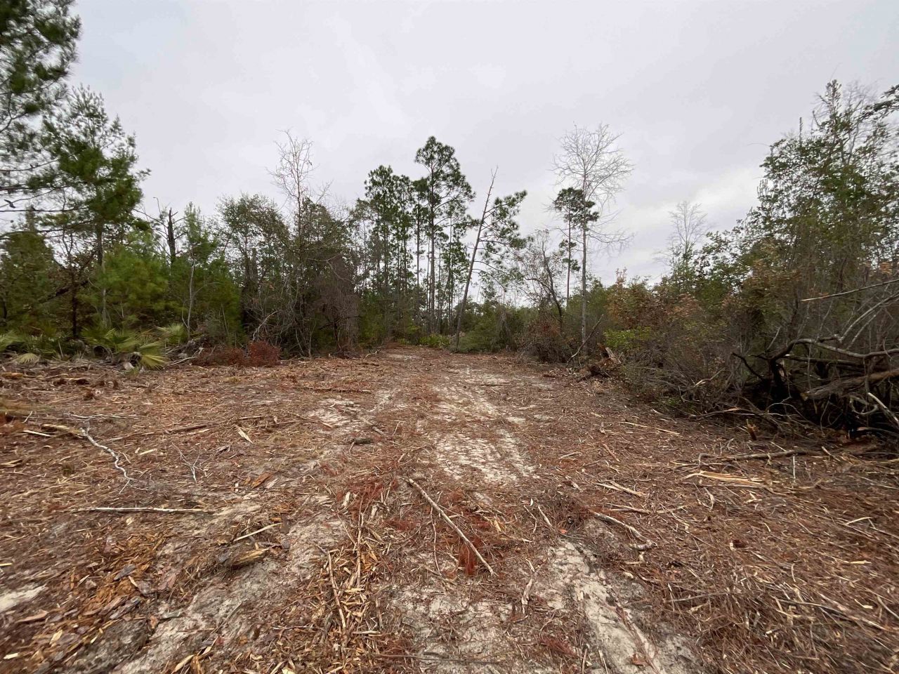 Vacant Joshua Road, Marianna, FL 32448 Photo