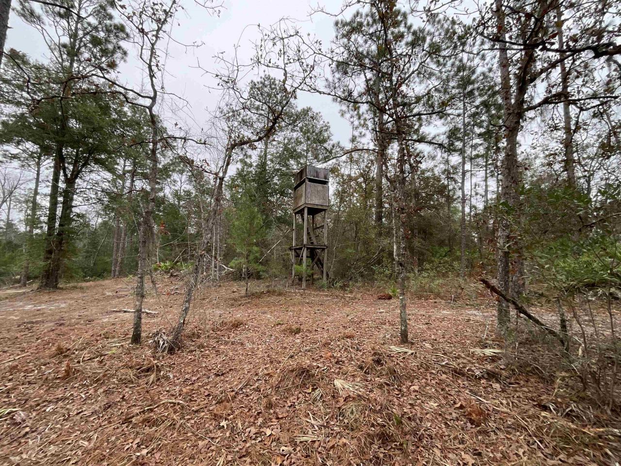 Vacant Joshua Road, Marianna, FL 32448 Photo