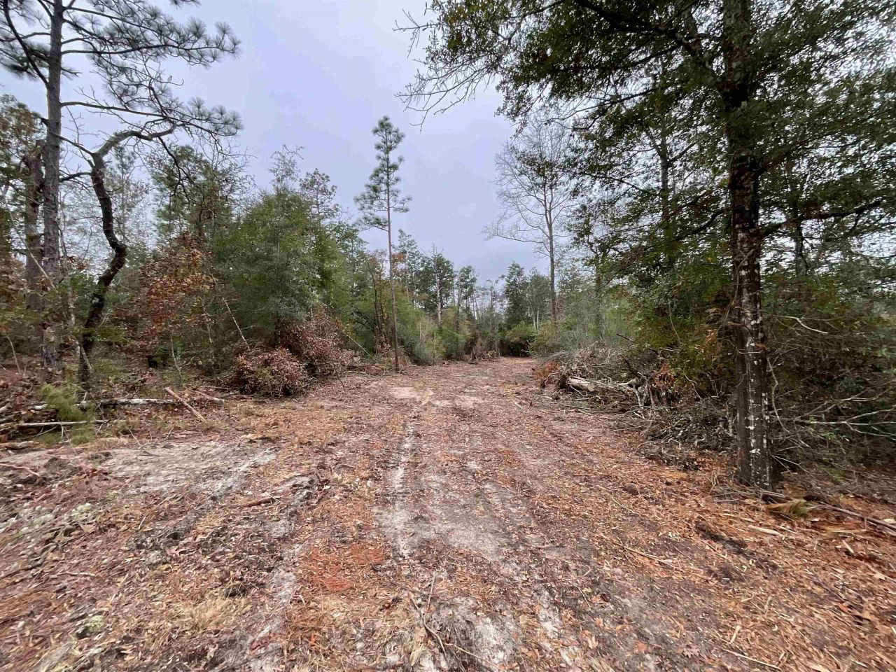 Vacant Joshua Road, Marianna, FL 32448 Photo
