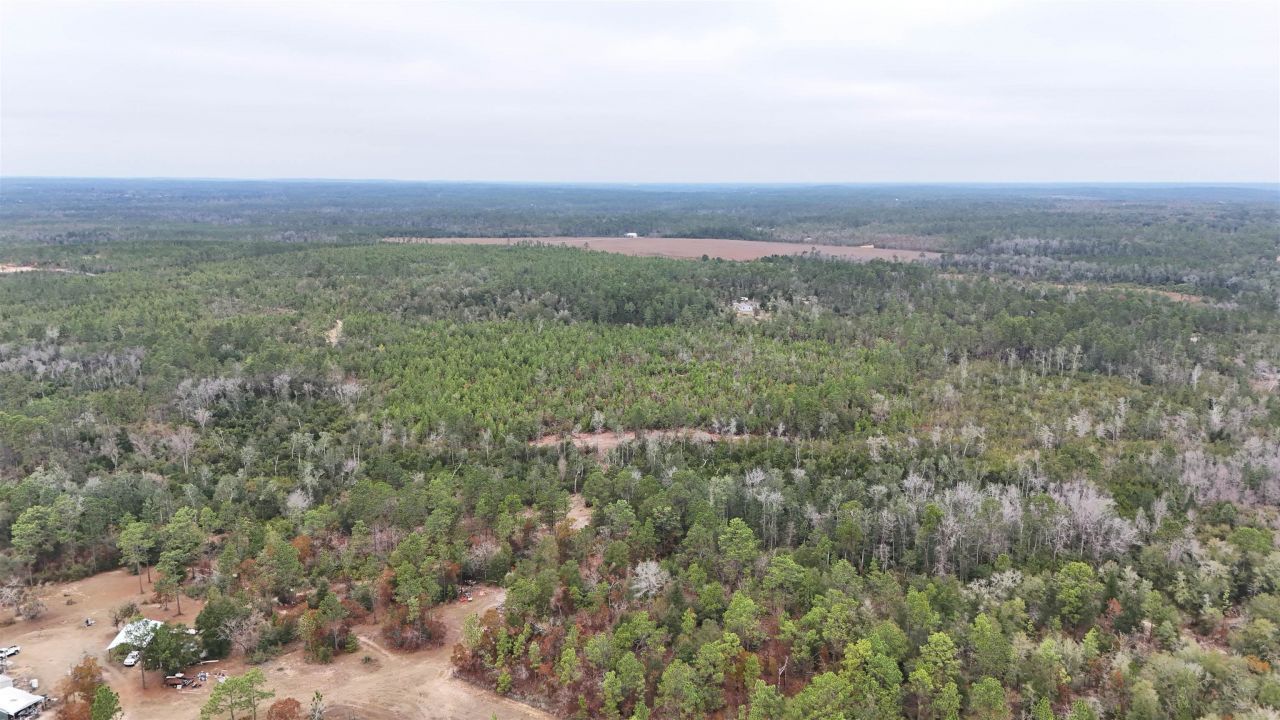 Vacant Joshua Road, Marianna, FL 32448 Photo