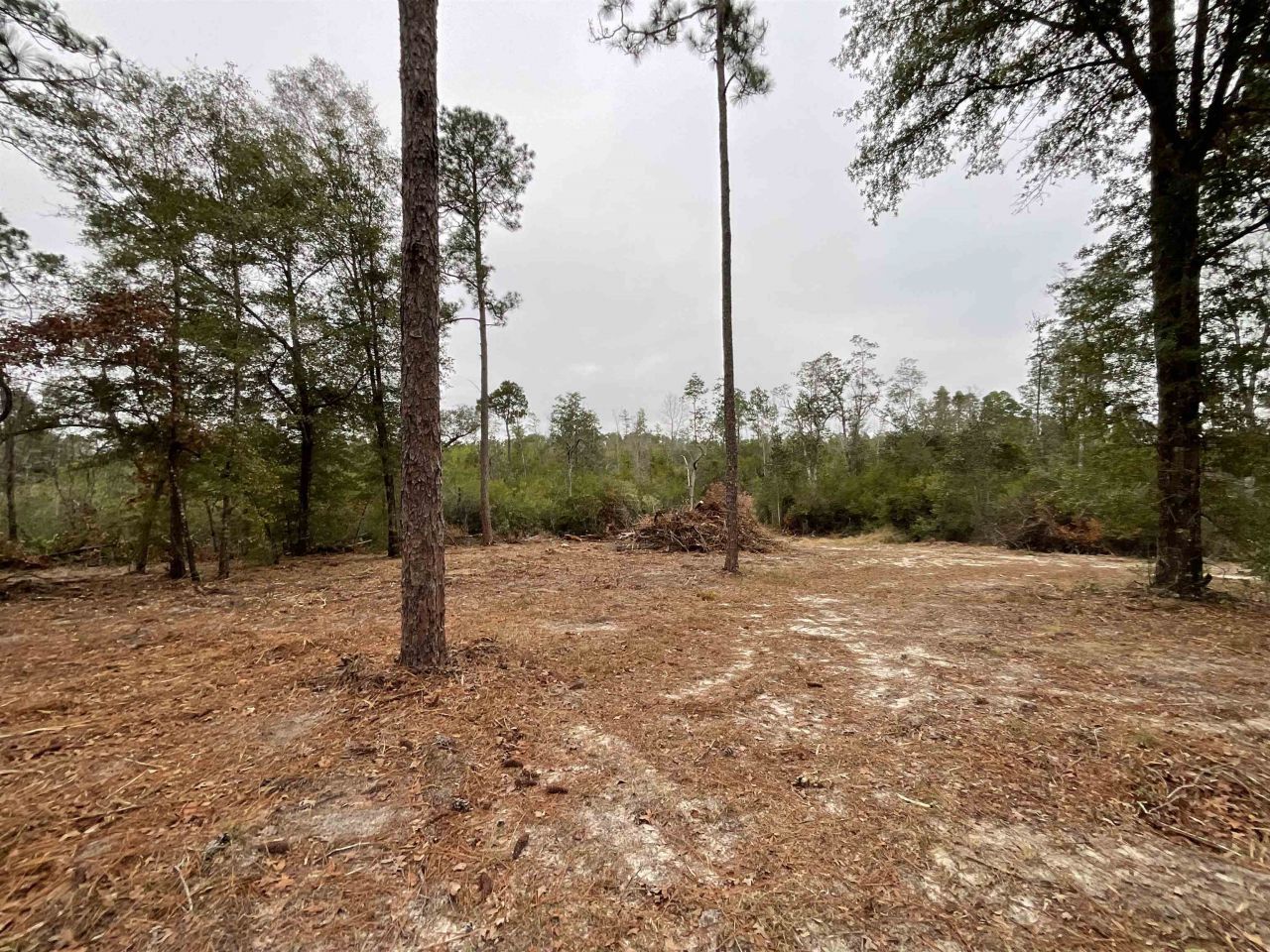 Vacant Joshua Road, Marianna, FL 32448 Photo