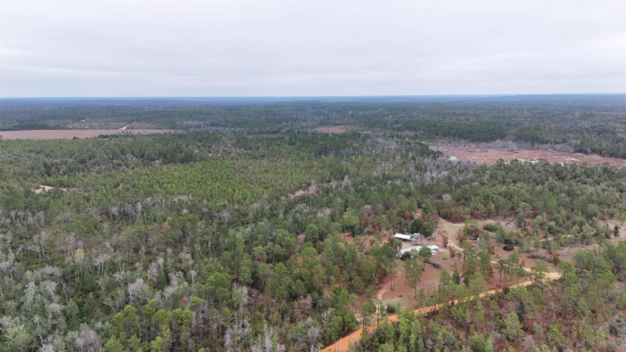 Vacant Joshua Road, Marianna, FL 32448 Photo