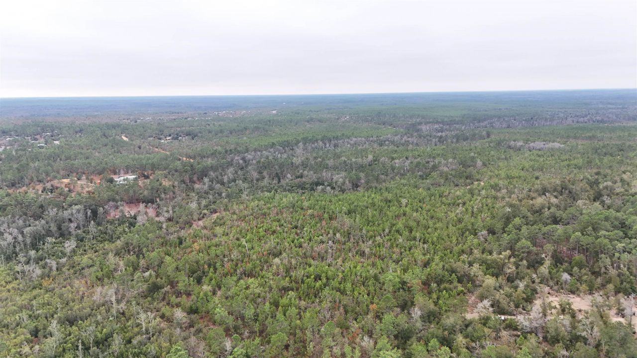 Vacant Joshua Road, Marianna, FL 32448 Photo