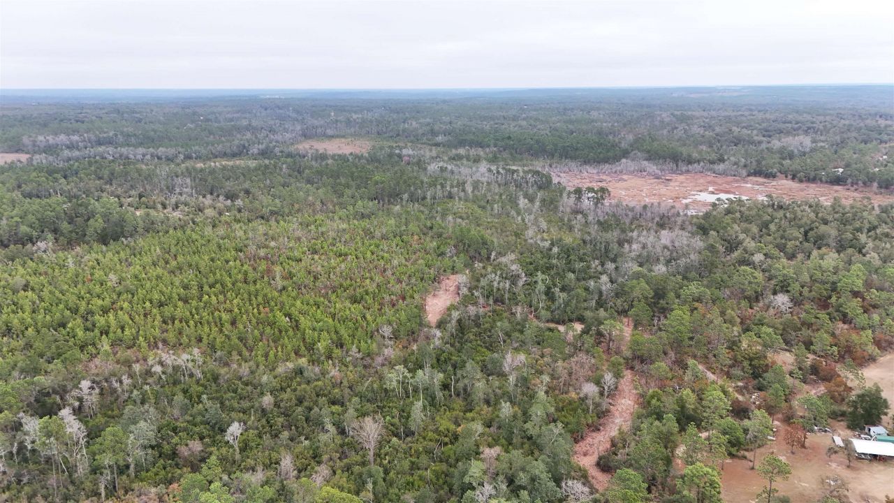 Vacant Joshua Road, Marianna, FL 32448 Photo