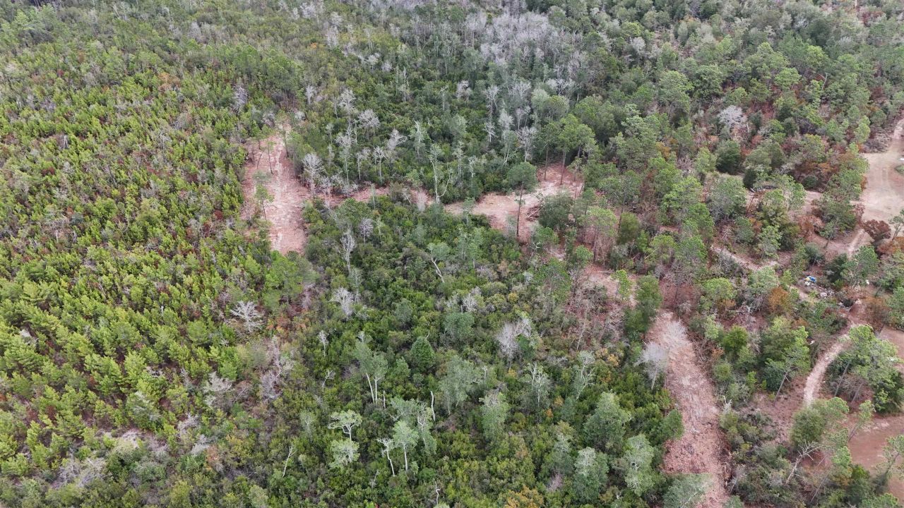 Vacant Joshua Road, Marianna, FL 32448 Photo