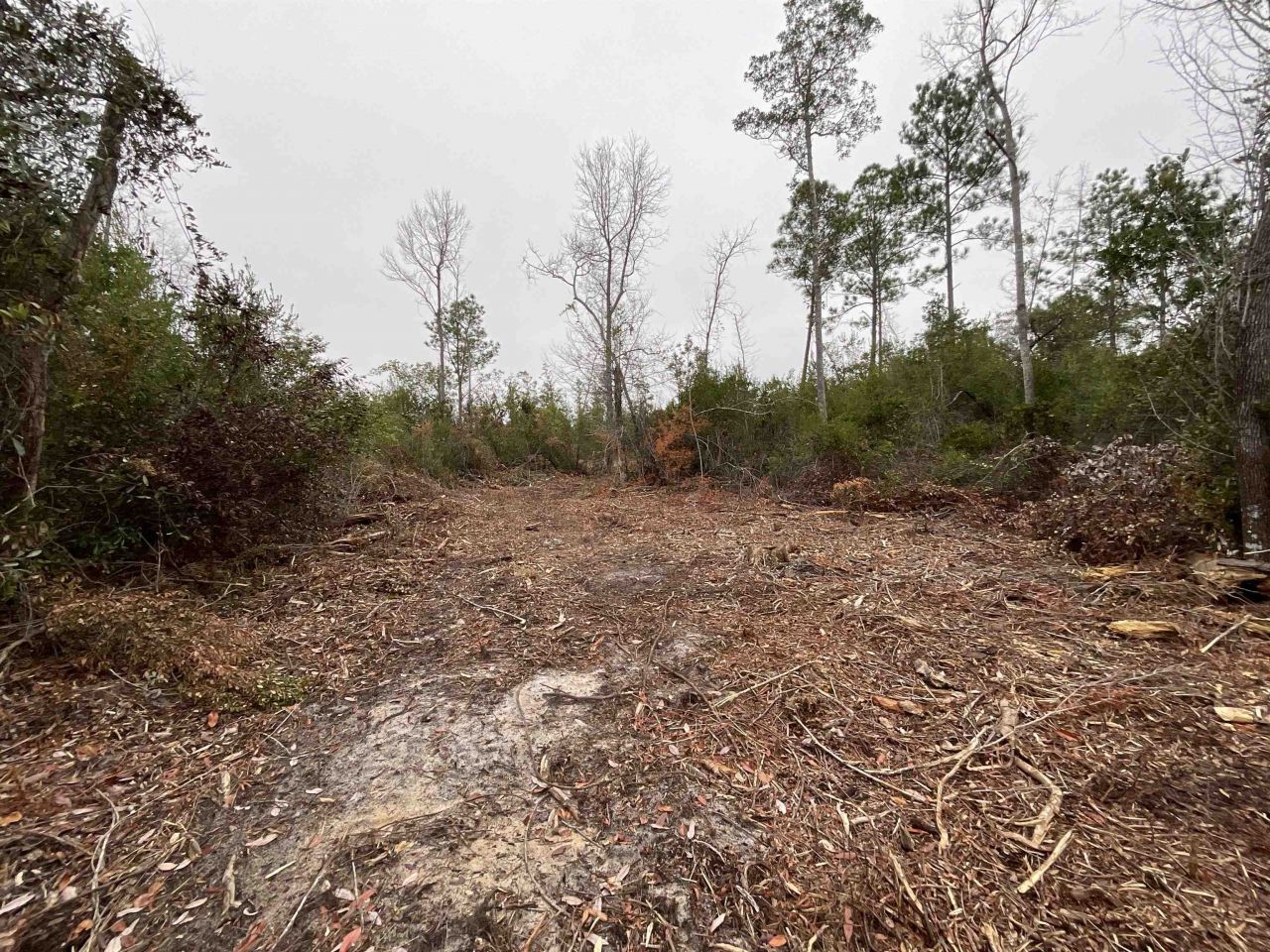 Vacant Joshua Road, Marianna, FL 32448 Photo