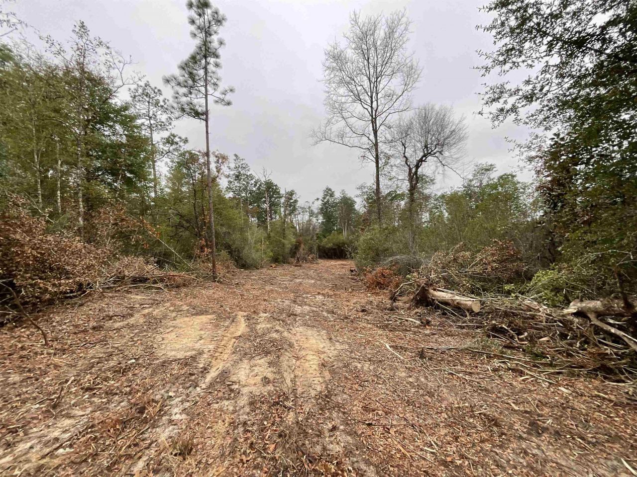 Vacant Joshua Road, Marianna, FL 32448 Photo