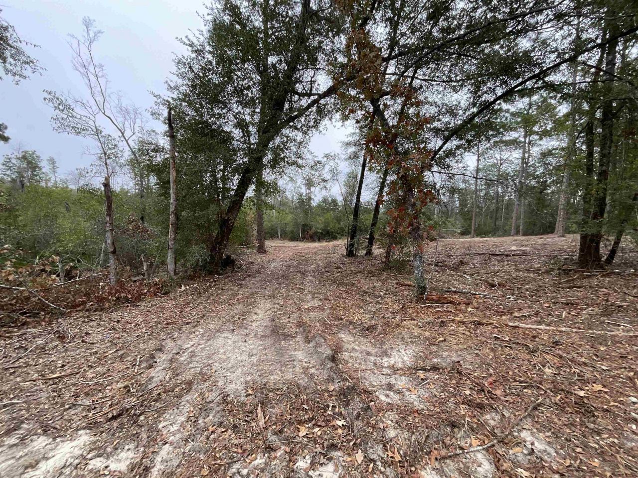 Vacant Joshua Road, Marianna, FL 32448 Photo