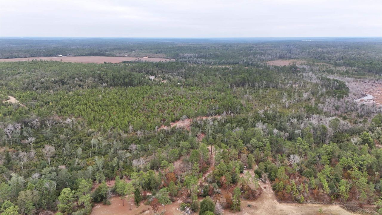 Vacant Joshua Road, Marianna, FL 32448 Photo
