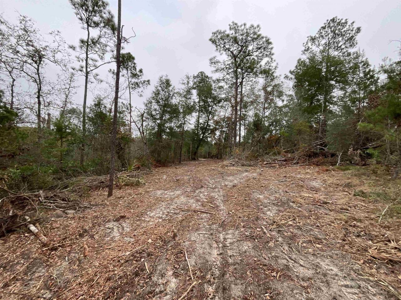 Vacant Joshua Road, Marianna, FL 32448 Photo