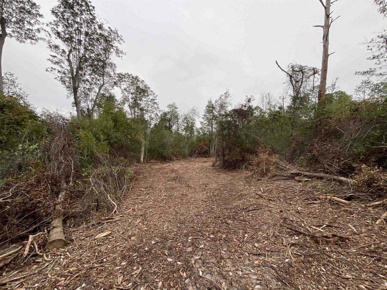Vacant Joshua Road, Marianna, FL 32448 Photo