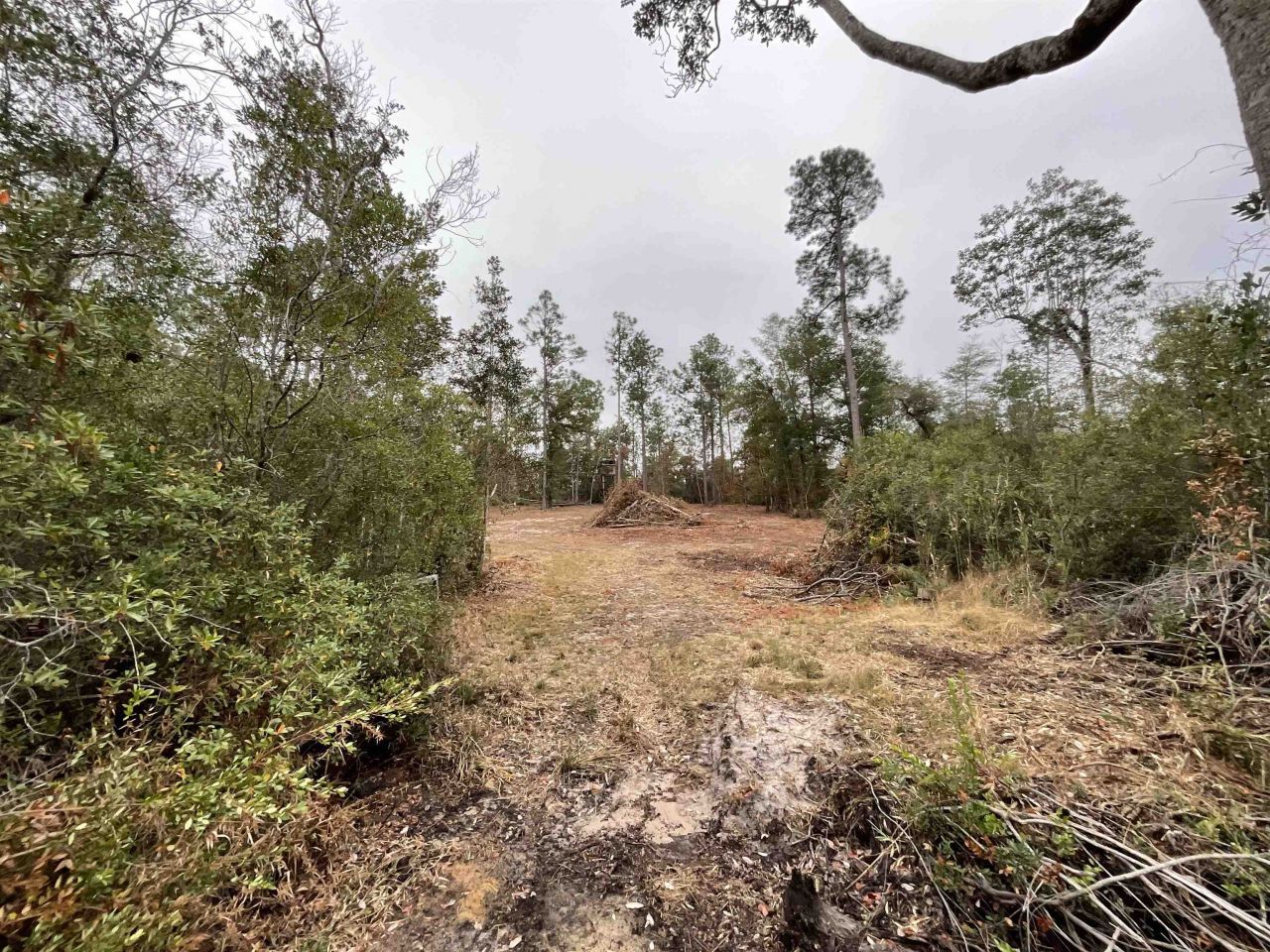Vacant Joshua Road, Marianna, FL 32448 Photo