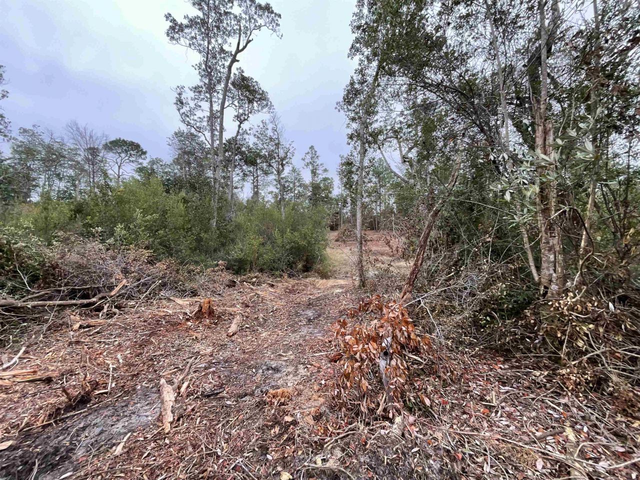 Vacant Joshua Road, Marianna, FL 32448 Photo