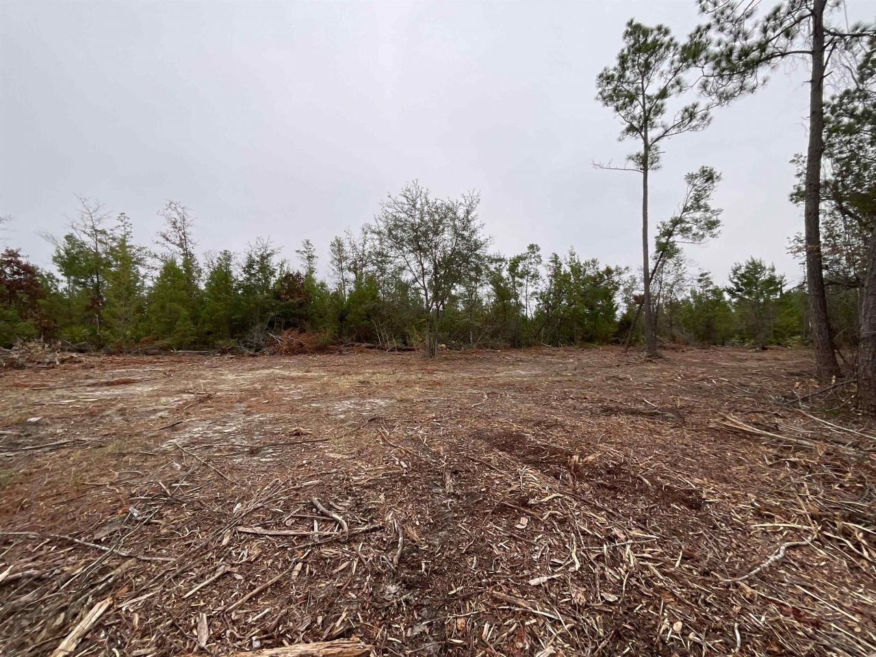 Vacant Joshua Road, Marianna, FL 32448 Photo