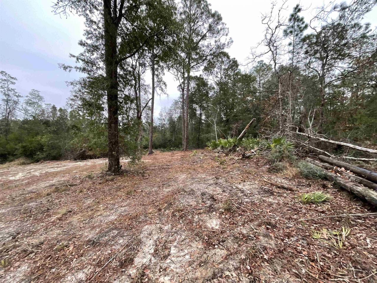 Vacant Joshua Road, Marianna, FL 32448 Photo