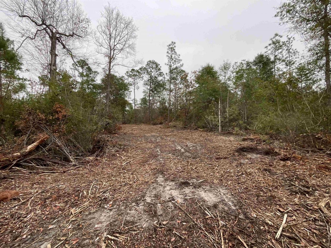Vacant Joshua Road, Marianna, FL 32448 Photo