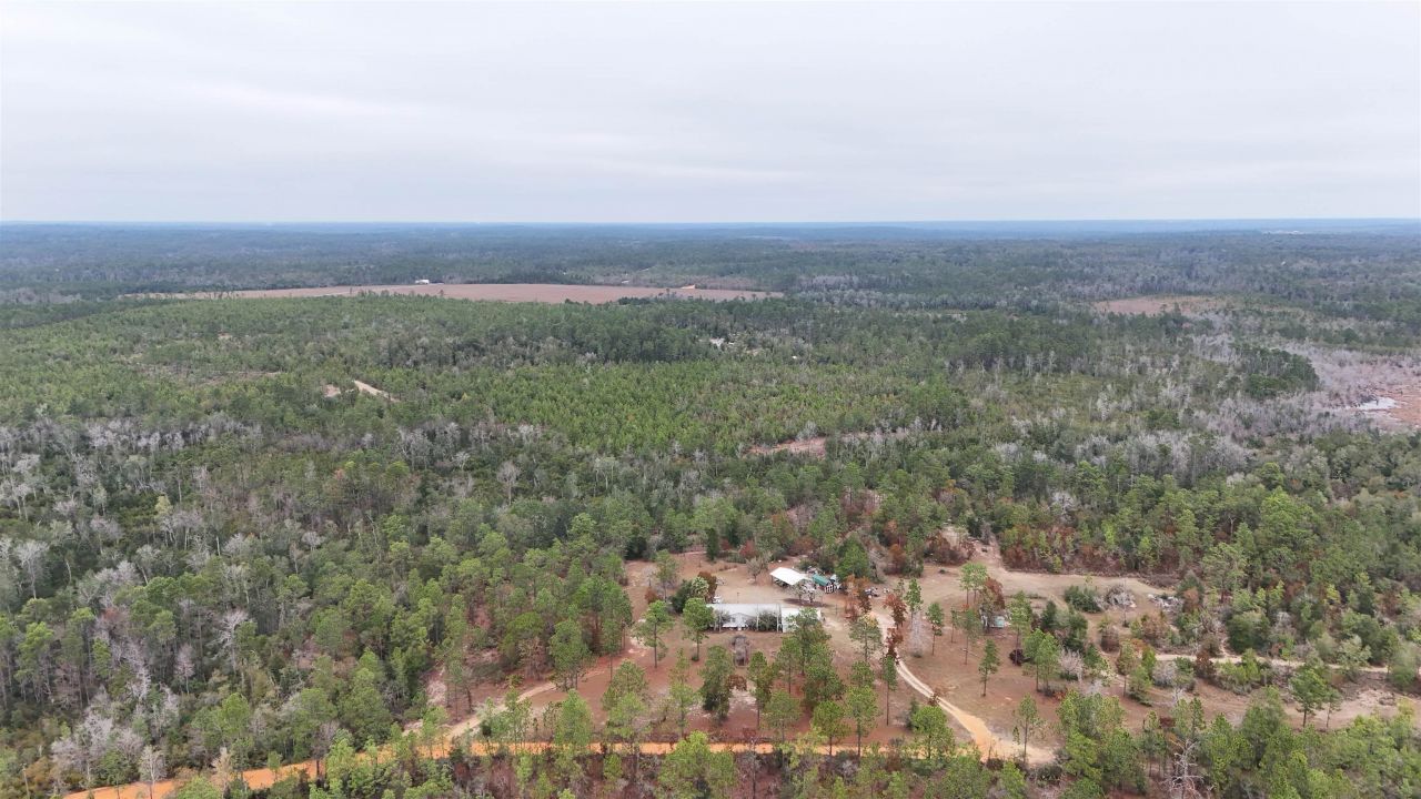 Vacant Joshua Road, Marianna, FL 32448 Photo