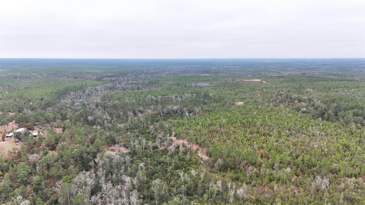 Vacant Joshua Road, Marianna, FL 32448 Photo