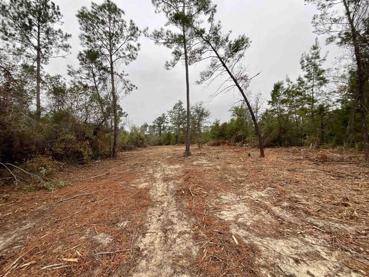 Vacant Joshua Road, Marianna, FL 32448 Photo