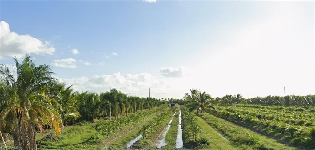 2 SW 127th Ave, Miami, FL 33035 Main Photo