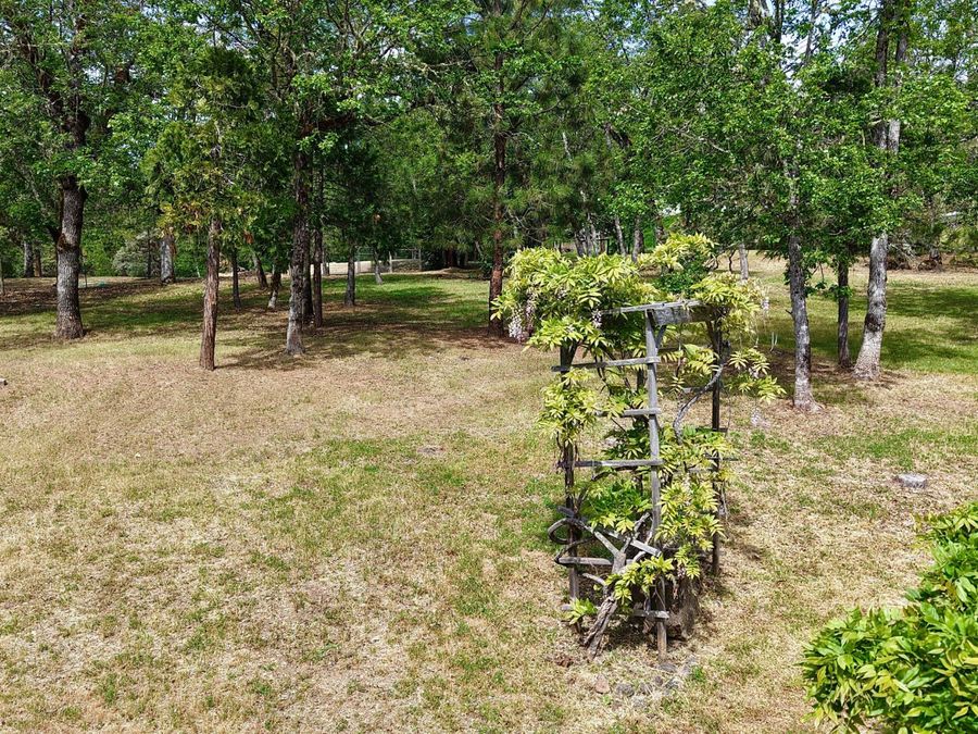 Property Image 59