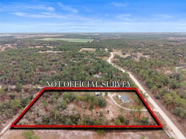 12251 SE 66TH PLACE, MORRISTON, FL 32668