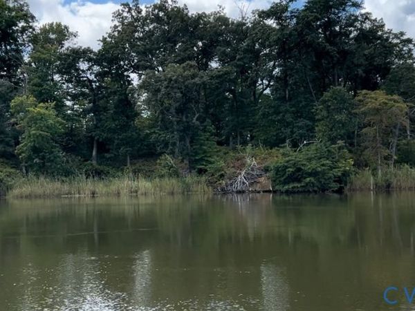 0 Piscataway Creek Island, Essex, VA 22454