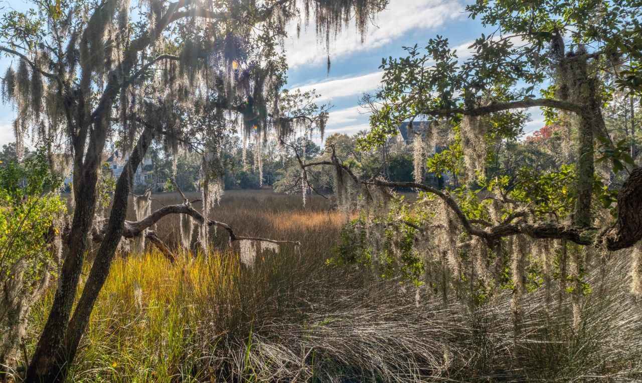 135 Pier View Street Photo 42