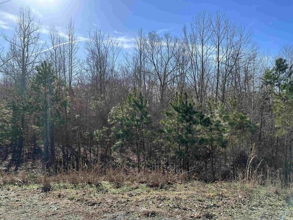 00 Chisum Lane lot 19 , Beech Bluff, TN 38313