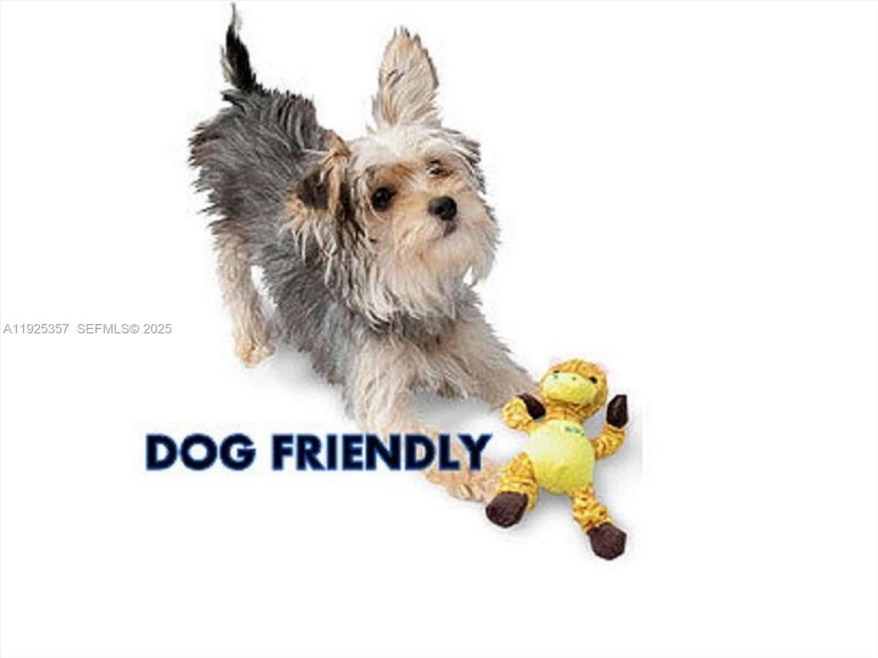 9511 N Hollybrook Lake Dr, Unit 108, Pembroke Pines, FL 33025 Photo