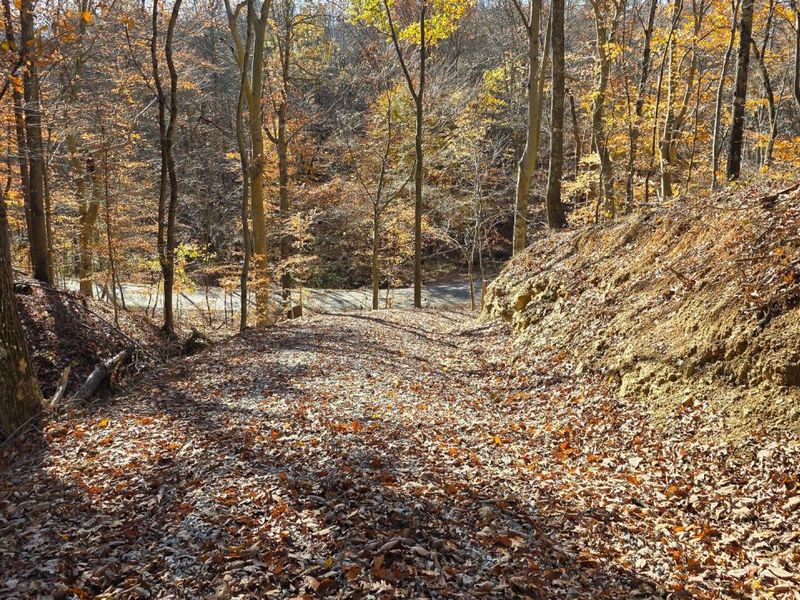 680 Nibert Road, Unit (Ponds Pop, Gallipolis, OH 45631 Photo 12