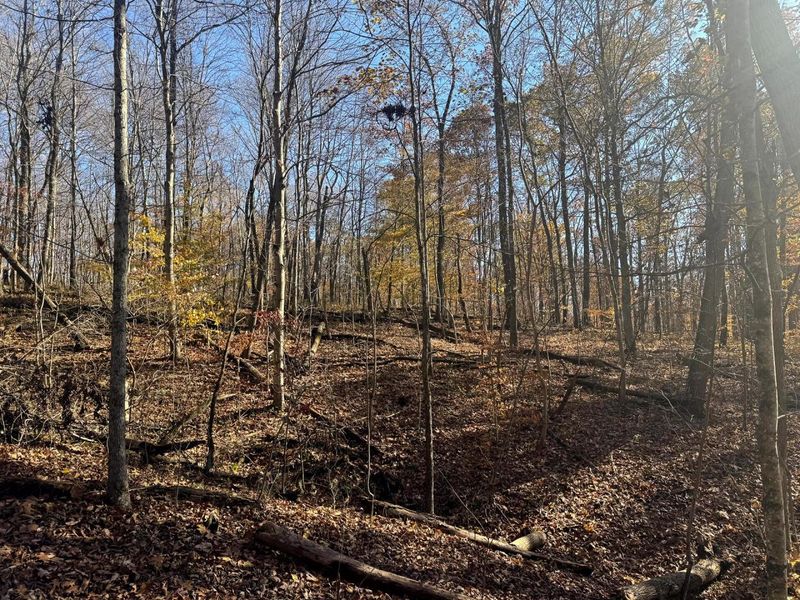 680 Nibert Road, Unit (Ponds Pop, Gallipolis, OH 45631 Photo 13