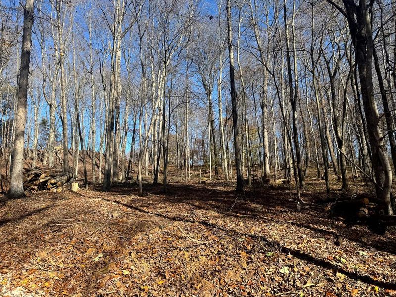 680 Nibert Road, Unit (Ponds Pop, Gallipolis, OH 45631 Photo 14