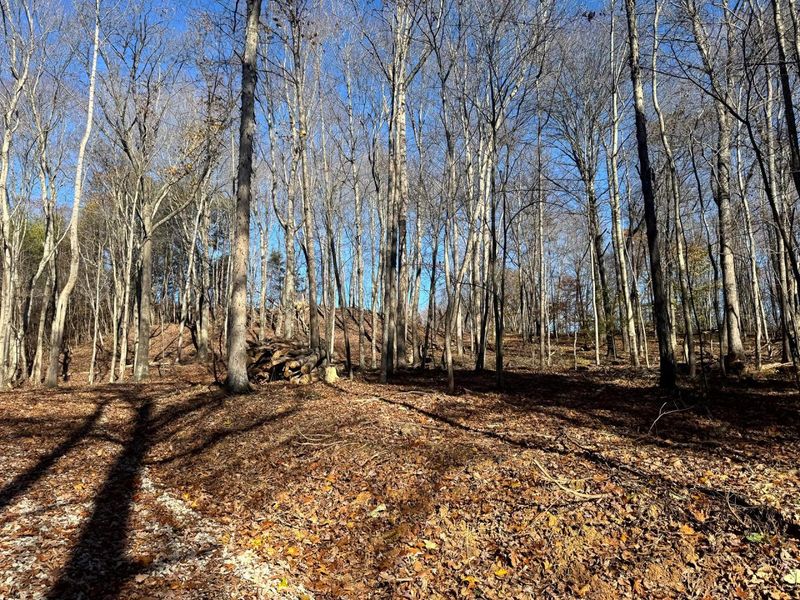 680 Nibert Road, Unit (Ponds Pop, Gallipolis, OH 45631 Photo 15