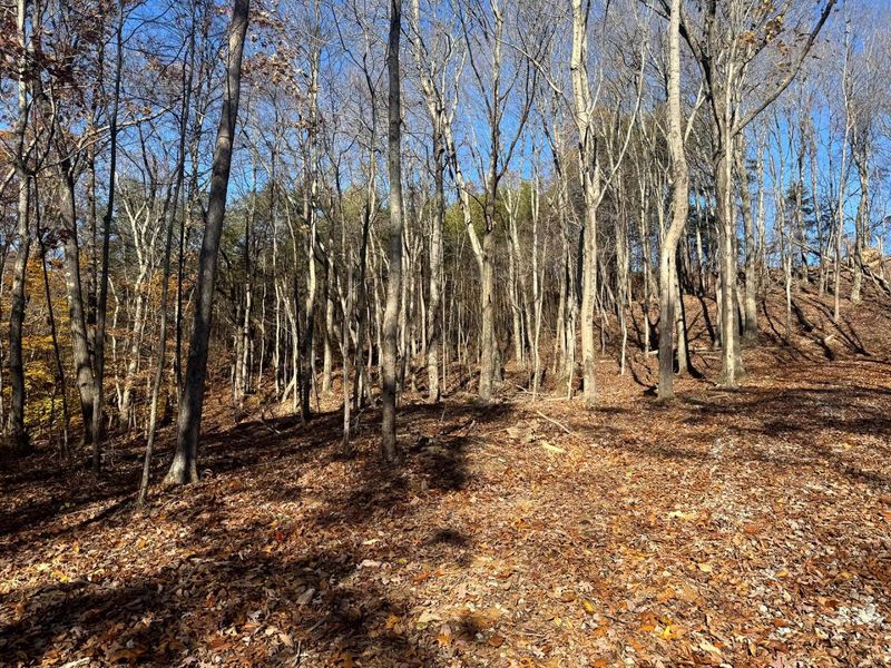 680 Nibert Road, Unit (Ponds Pop, Gallipolis, OH 45631 Photo 16