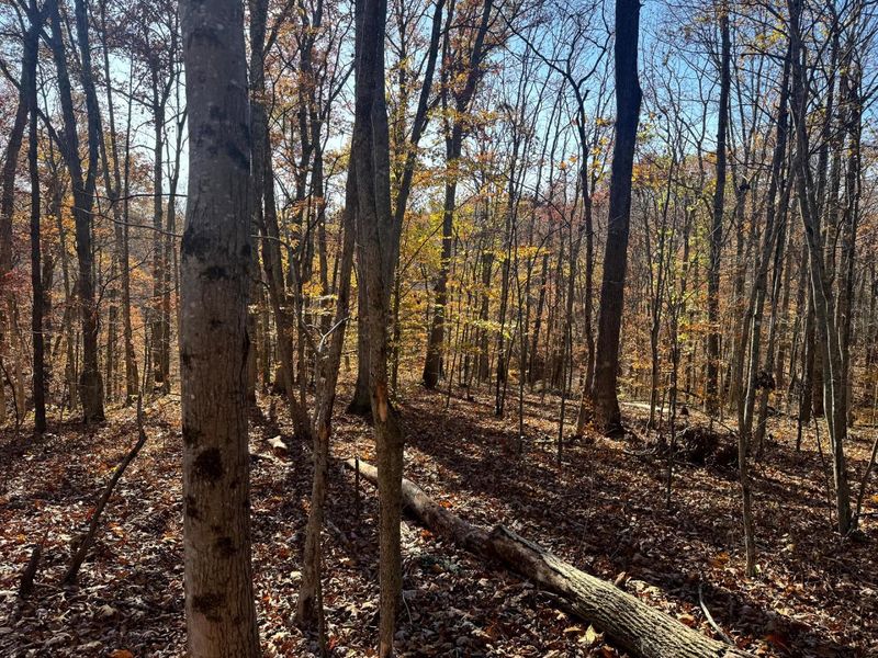 680 Nibert Road, Unit (Ponds Pop, Gallipolis, OH 45631 Photo 17