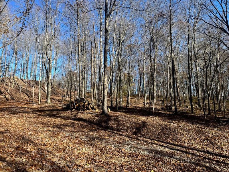 680 Nibert Road, Unit (Ponds Pop, Gallipolis, OH 45631 Photo 18