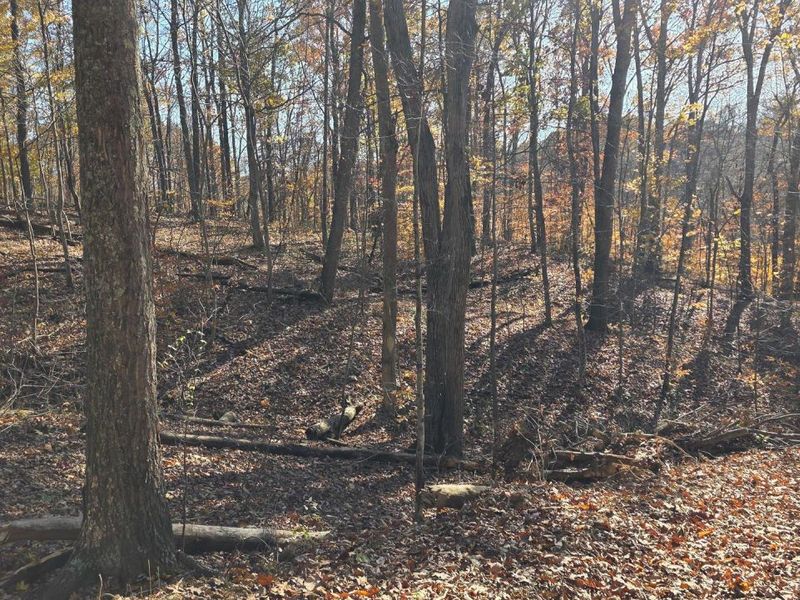 680 Nibert Road, Unit (Ponds Pop, Gallipolis, OH 45631 Photo 19