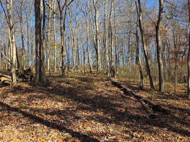 680 Nibert Road, Unit (Ponds Pop, Gallipolis, OH 45631 Photo 21