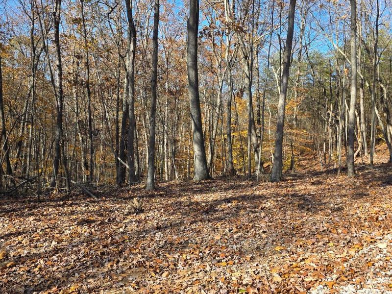 680 Nibert Road, Unit (Ponds Pop, Gallipolis, OH 45631 Photo 22