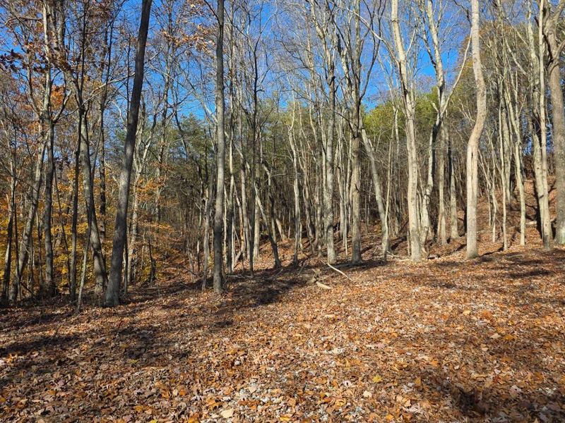 680 Nibert Road, Unit (Ponds Pop, Gallipolis, OH 45631 Photo 23