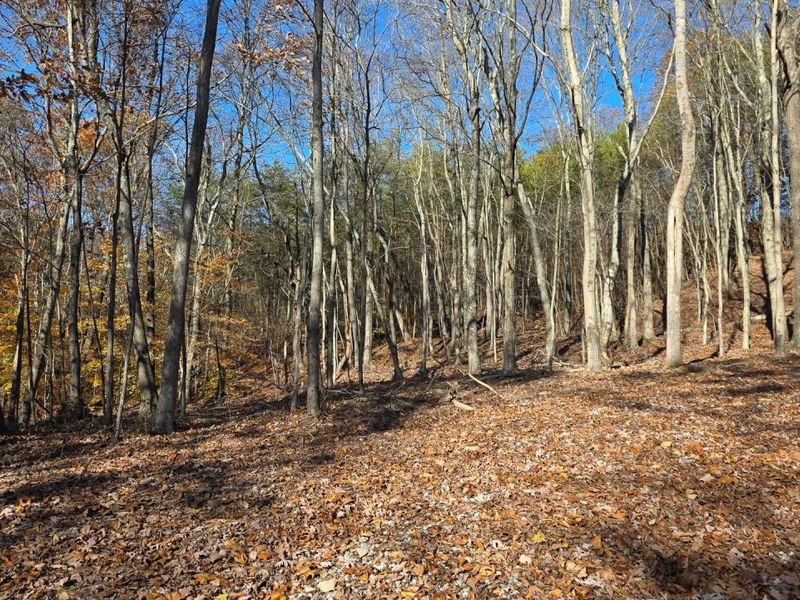 680 Nibert Road, Unit (Ponds Pop, Gallipolis, OH 45631 Photo 24