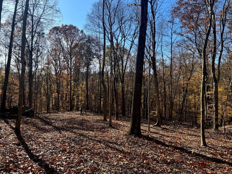 680 Nibert Road, Unit (Ponds Pop, Gallipolis, OH 45631 Photo 26