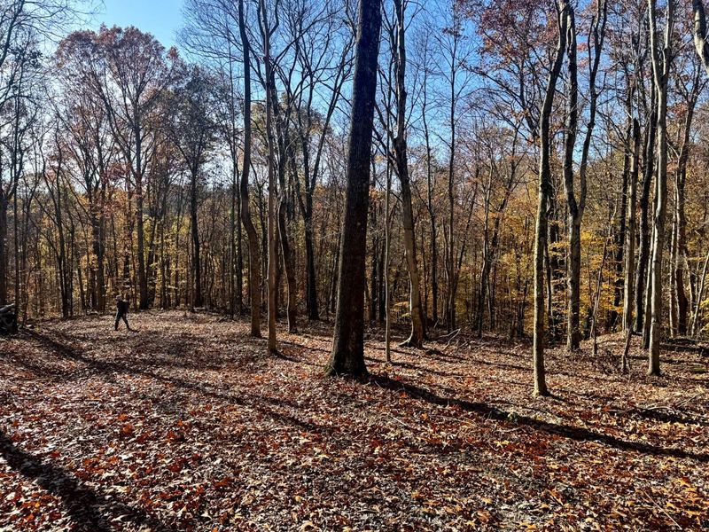 680 Nibert Road, Unit (Ponds Pop, Gallipolis, OH 45631 Photo 27