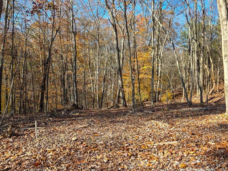 680 Nibert Road, Unit (Ponds Pop, Gallipolis, OH 45631 Photo 28