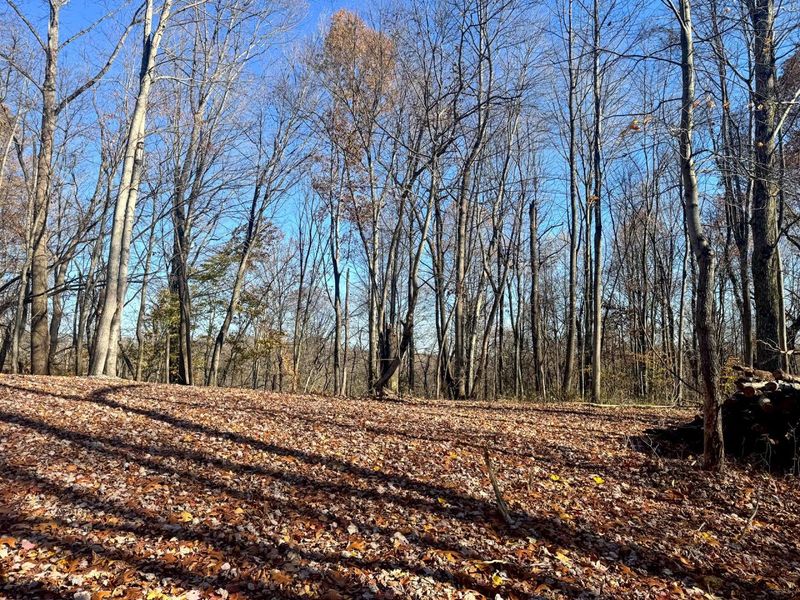 680 Nibert Road, Unit (Ponds Pop, Gallipolis, OH 45631 Photo 29